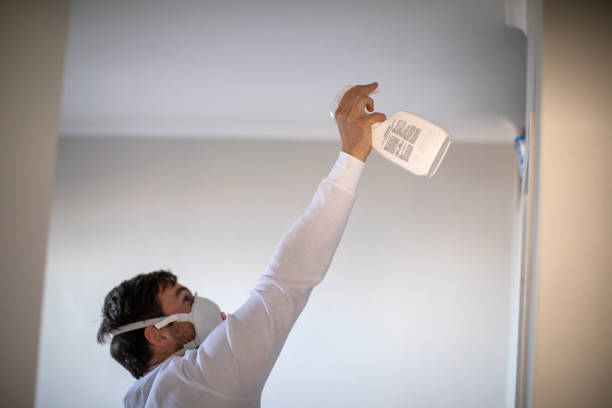 Best Attic Mold Remediation in Decatur, MI