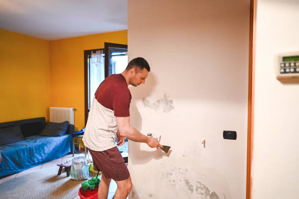 Best Health and Safety Mold Remediation in Decatur, MI