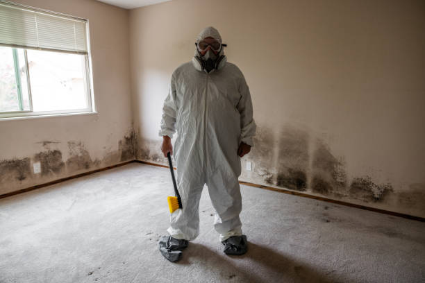 Best Mold Remediation for Specific Building Types in Decatur, MI